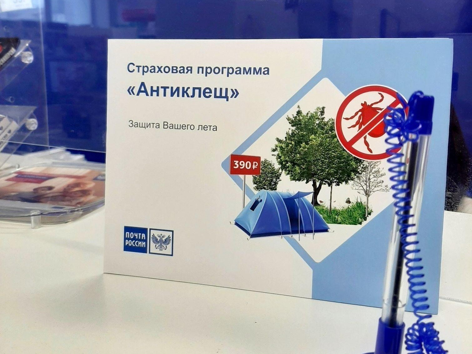 Жители Архангельской области могут застраховаться от укусов клещей в почтовых отделениях.